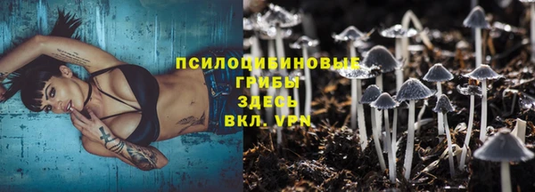 прущие крисы Балабаново