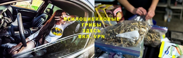 прущие крисы Балабаново