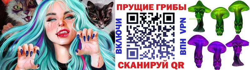 Купить  Белогорск  Галлюциногенные грибы MAGIC MUSHROOMS 