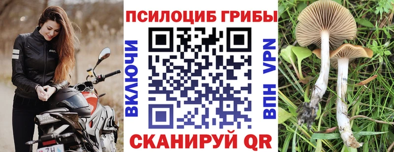 Псилоцибиновые грибы Magic Shrooms Белогорск